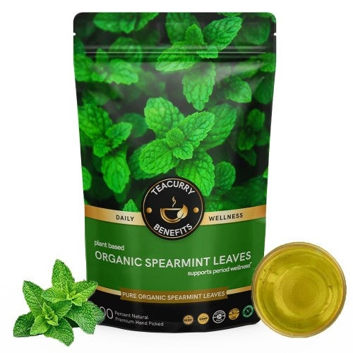 Teacurry Organic Spearmint Tea Pouch
