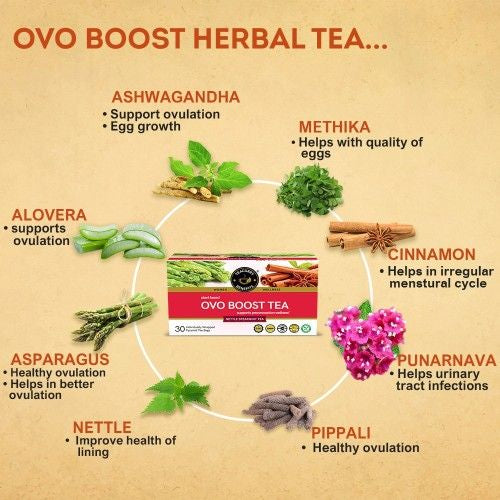 Teacurry Ovo Boost Tea Ingredients Benefits