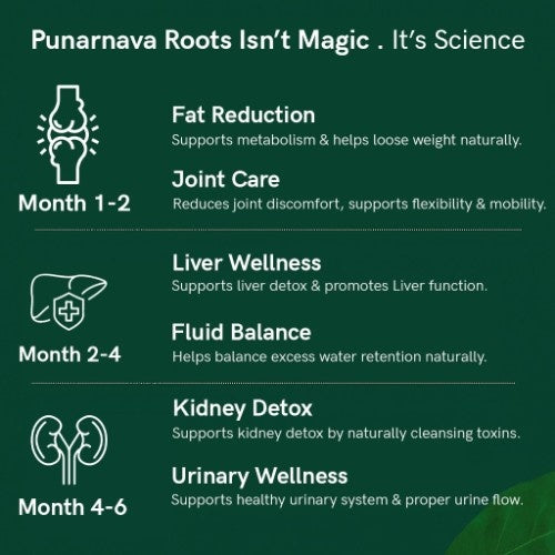 Teacurry Organic Himalayan Punarnava Roots Benefits 