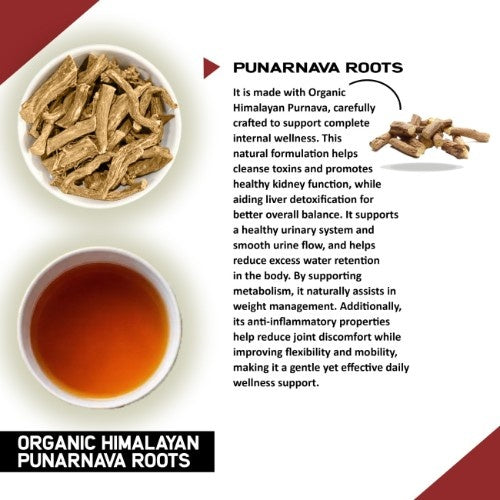 Teacurry Organic Himalayan Punarnava Roots Ingredients 