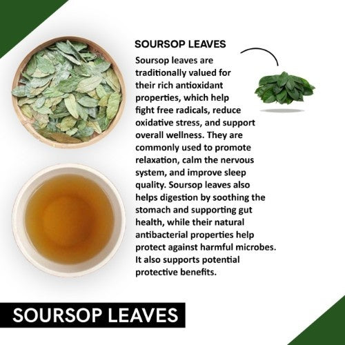 Teacurry Soursop Leaves Ingredient