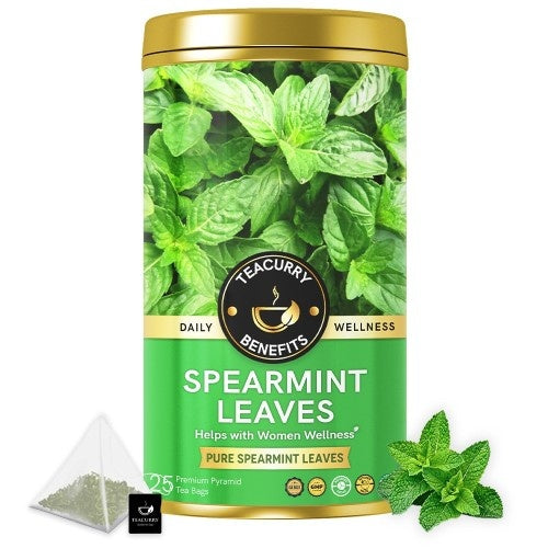 Teacurry Spearmint Leaf Tea Tea Bag Can