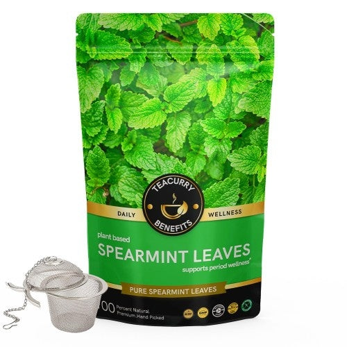 Teacurry Spearmint Tea Pouch With Infuser  