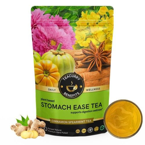 Teacurry Stomach Ease Tea Pouch