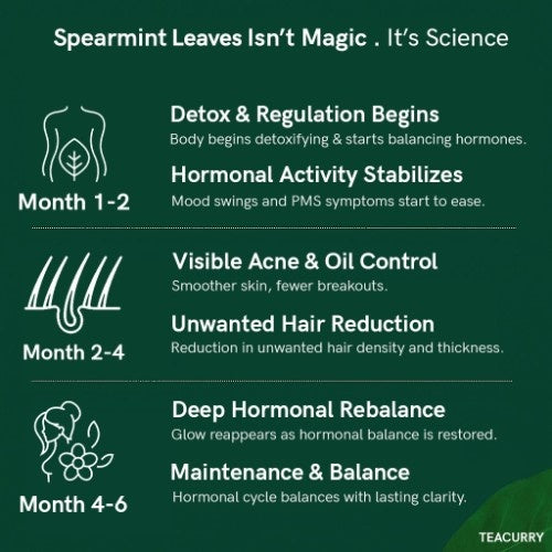 Spearmint Leaves Tea Benefits