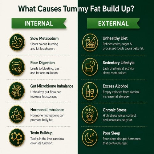 Internal and External Cause of Tummy Fat Build up