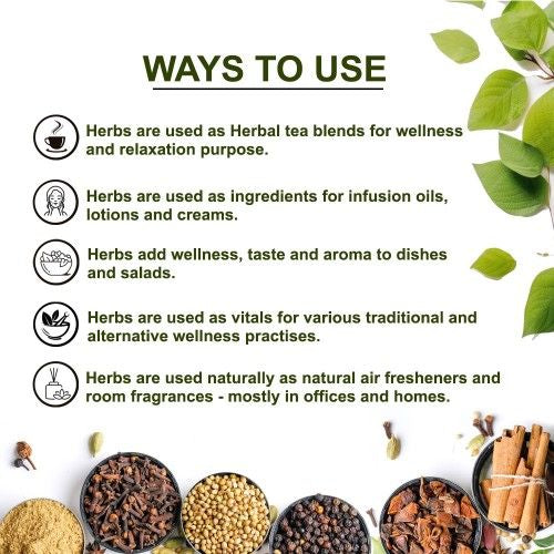 Teacurry Organic Himalayan Milk Thistle Seeds Ways to Use 