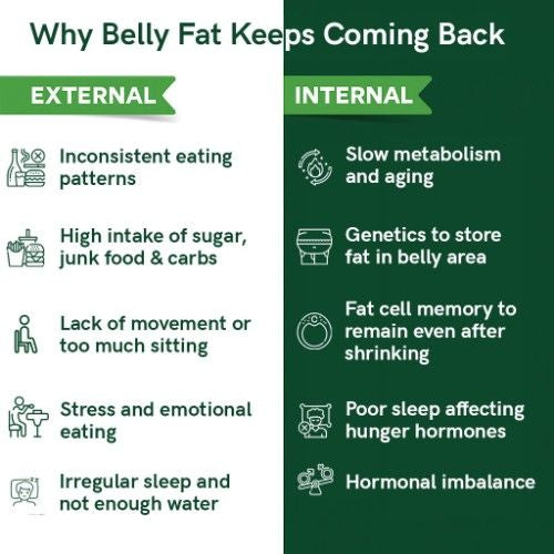 Belly Fat Tea - Help In Reducing Abdominal Fat For A More Toned Midsection