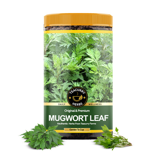 Mugwort Leaves - Promotes Digestive Health & Alleviates Stress