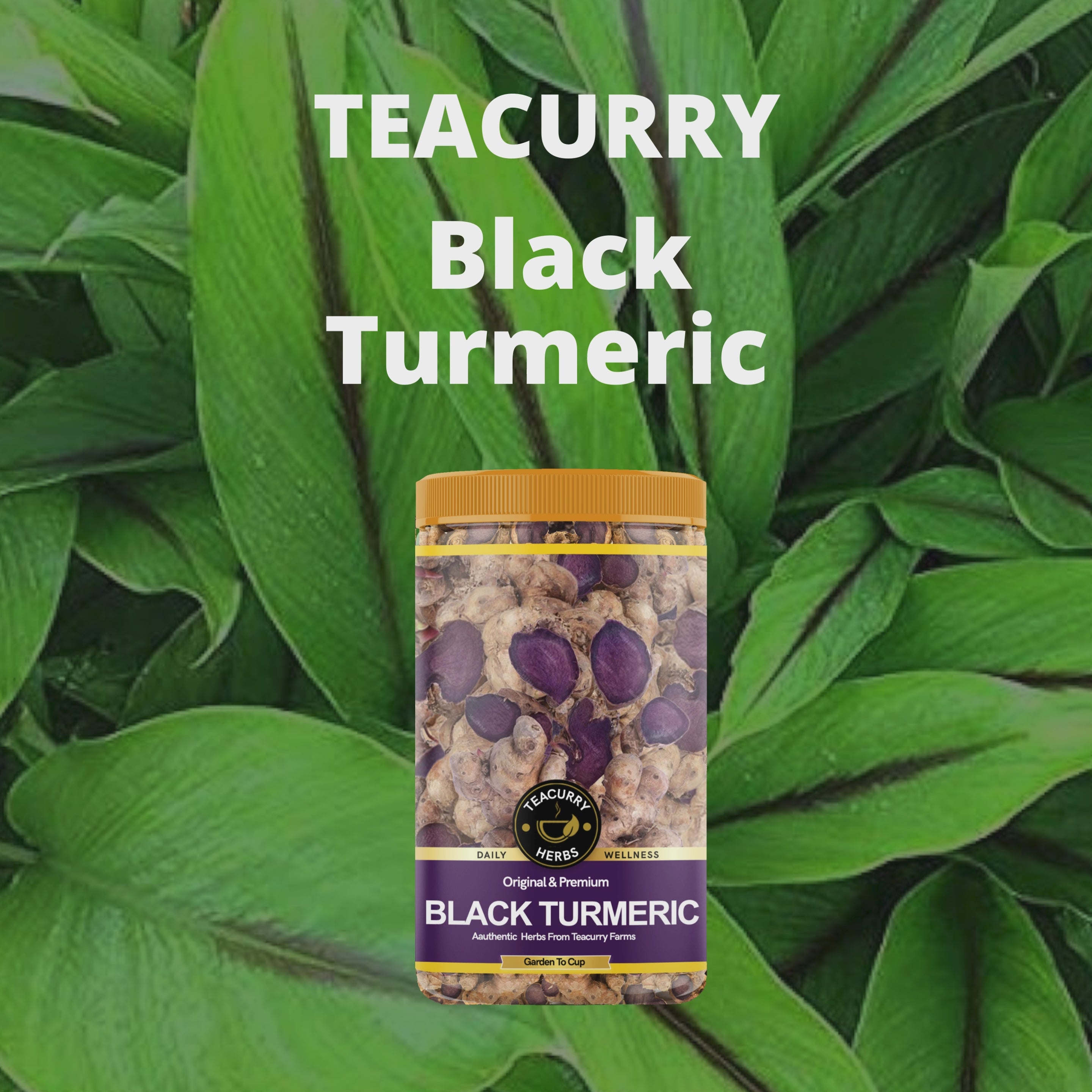 Teacurry Black Turmeric Video