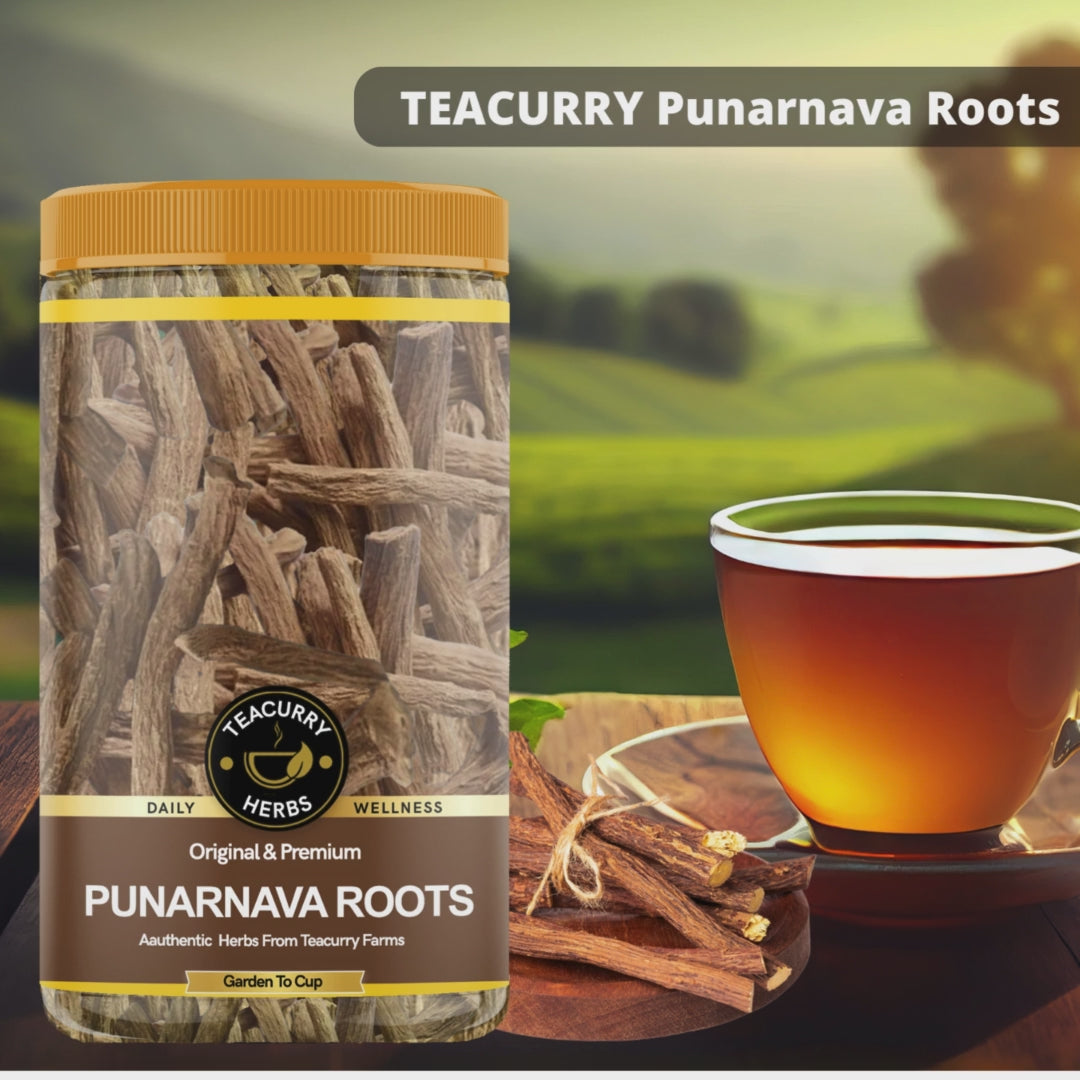 TEACURRY Punarnava Roots Video 