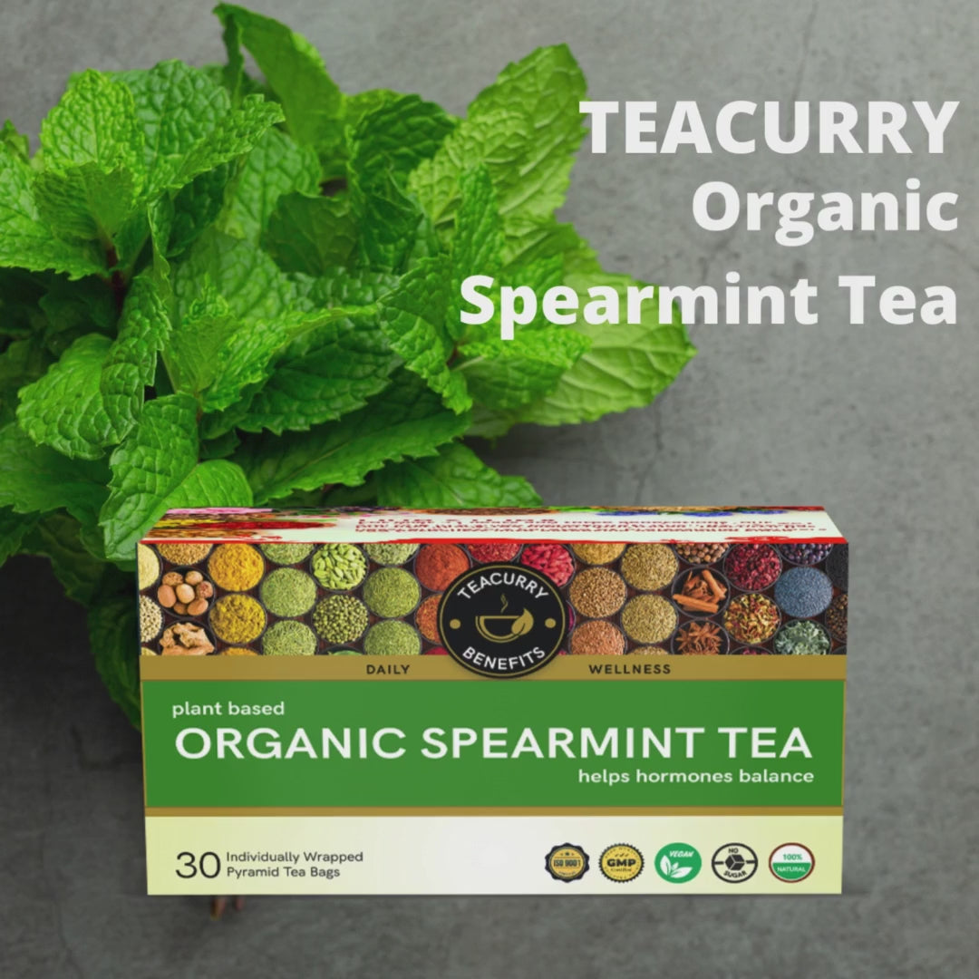TEACURRY Organic Spearmint Tea