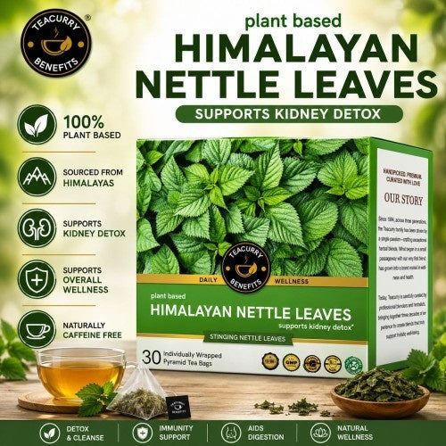 Teacurry Stinging Nettle Tea Video - green nettle tea - nettle plant tea