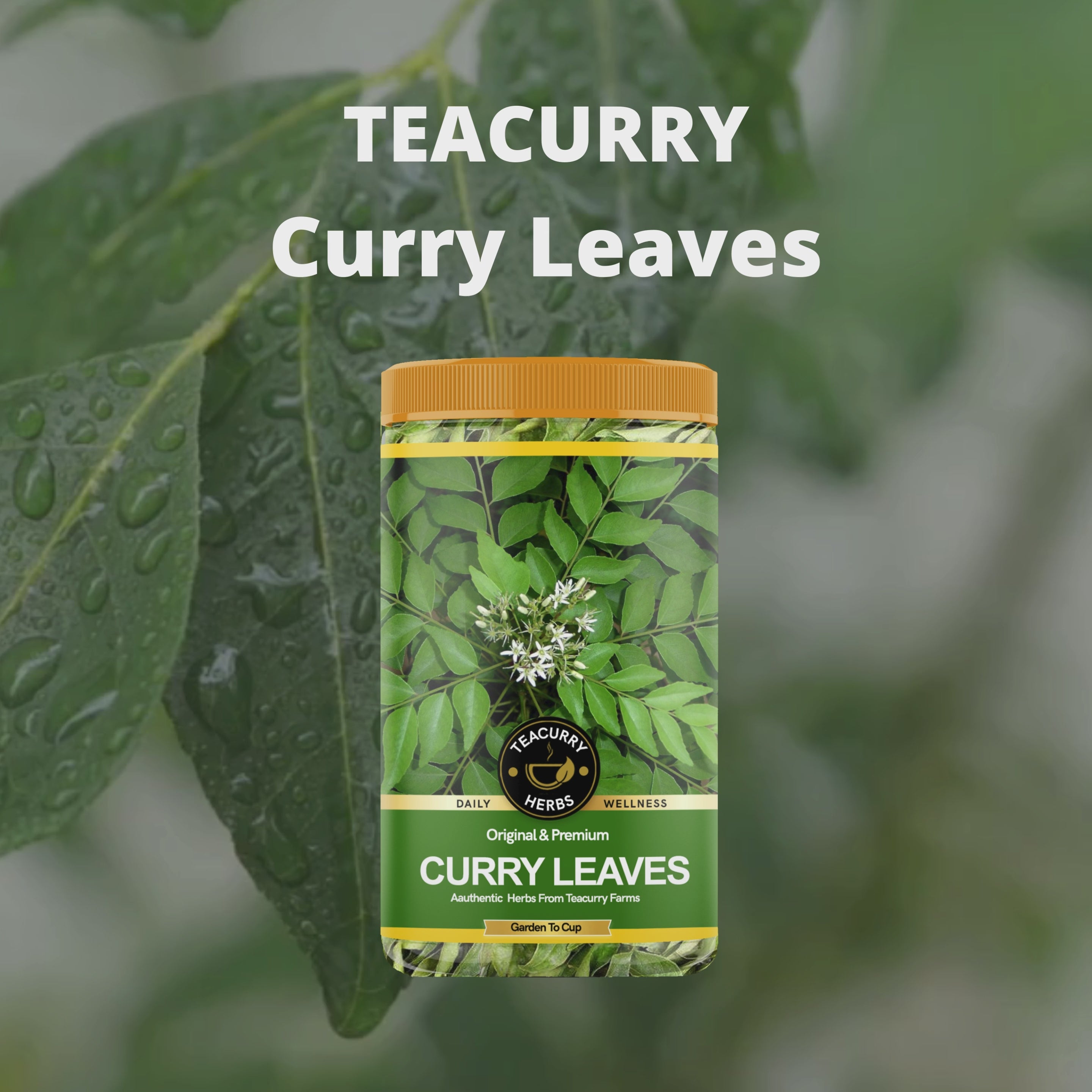 Teacurry Curry Leaves Video