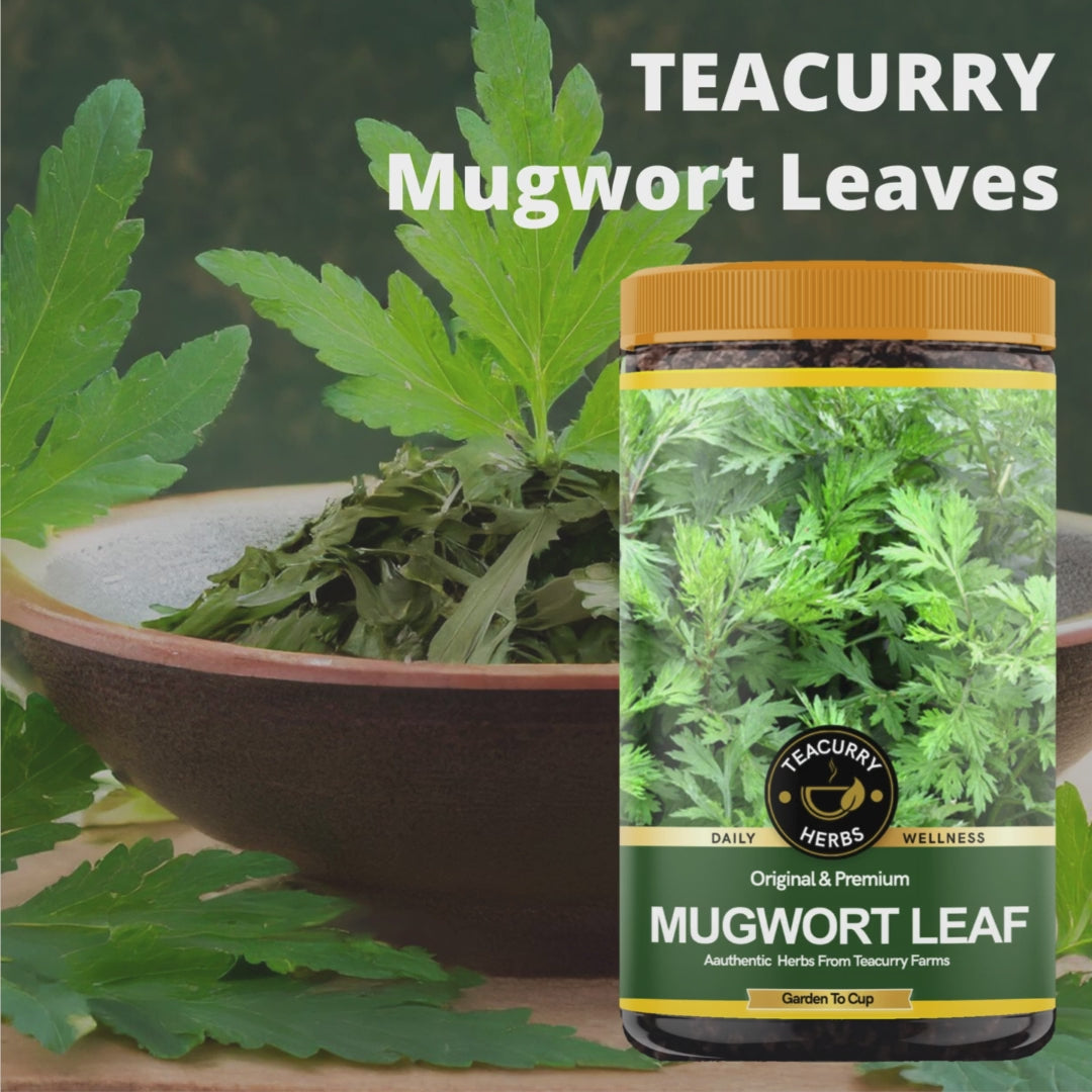 TEACURRY Mugwort Leaves Video