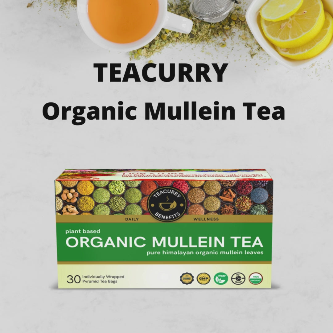 TEACURRY  Organic Mullein Tea Video - gordolobo herbal tea - gordolobo tea bags