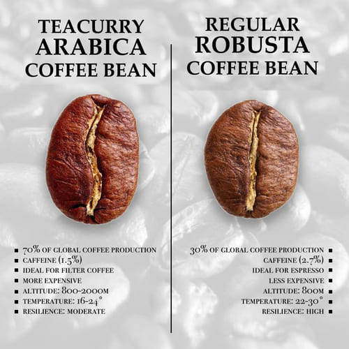 coffeecurry Arabica Roasted Coffee Bean