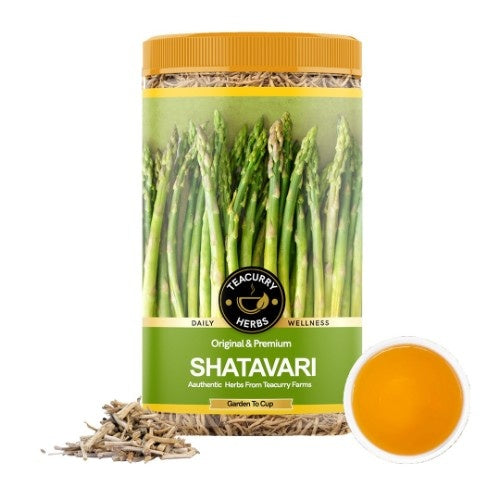 Teacurry Organic Shatavari Roots Main Image