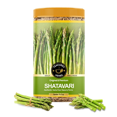 Shatavari Roots - Help in Gaining Weight, Boost Immune System, Alleviates Cough & Promotes Balanced Digestion
