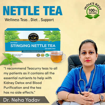 Teacurry Stinging Nettle Tea Approved By Doctor Neha Yadav - best nettle tea - benefits of nettle tea in pregnancy