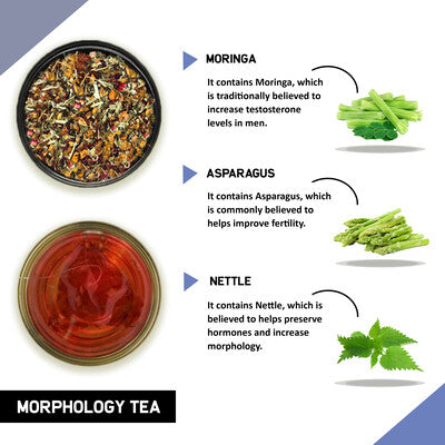 Teacurry Morphology Tea Benefits and ingredients