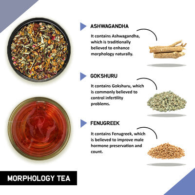 Teacurry Morphology Tea Benefits and ingredients