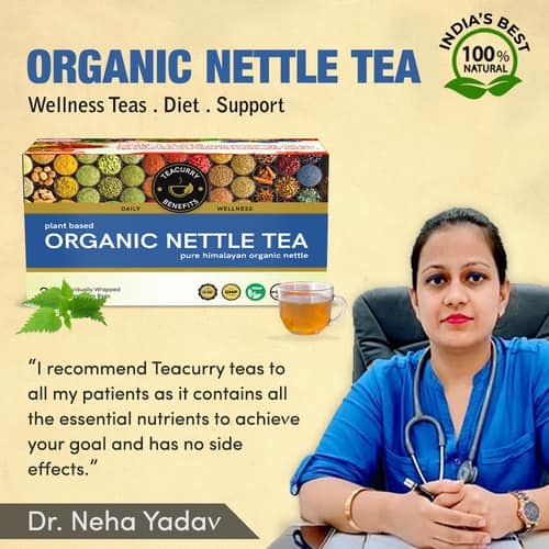 TEACURRY Organic Nettle Tea - Help with inflammation and soreness