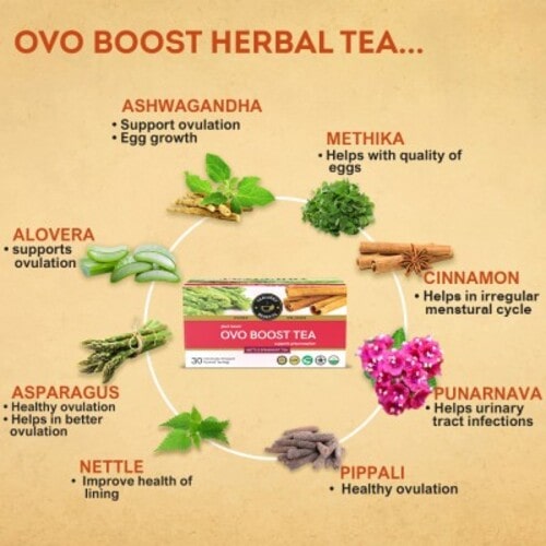 Ovo Boost tea Benefit Image