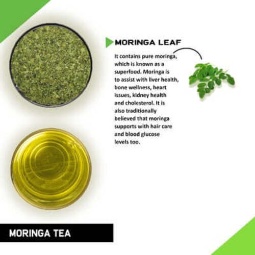 Ingredient image of moringa tea - drumstick leaves tea benefits - drumstick tree tea - fresh moringa tea