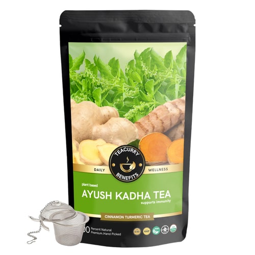 Teacurry Ayush Kadha Tea with infuser