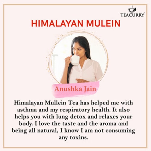 Himalayan Mullen Tea Reviewed by Anushka Jain