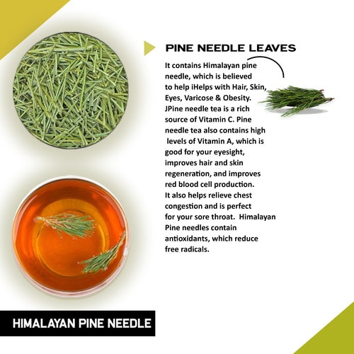 Teacurry Himalayan Pine Needle Benefits and their ingredients