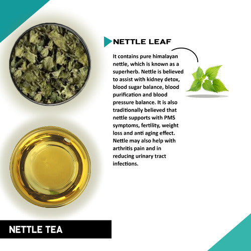 Benefits of Nettle Leaf Tea - loose nettle tea - organic loose leaf nettle tea