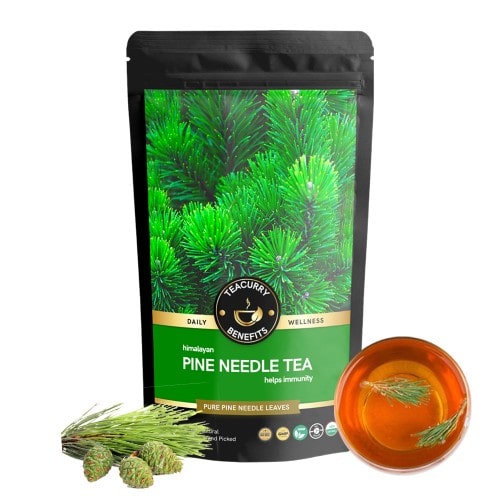 Teacurry Himalayan Pine Needle Tea Pouch