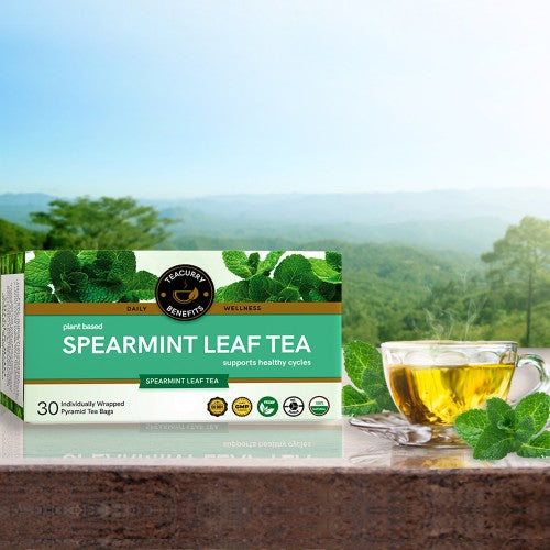 By Teacurry Spearmint Leaf Tea Box top view